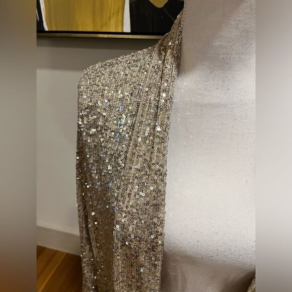 BB Dakota Steve Madden silver sequin duster size XS NWT - Picture 4 of 12